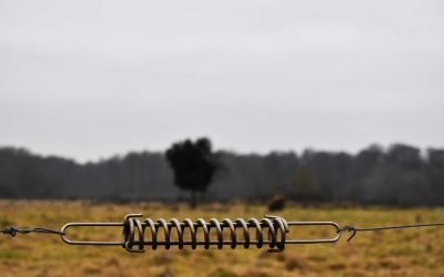 Elektromos kerítés: a biztonság és hatékonyság harmóniája